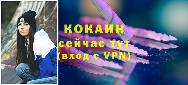 твердый Касимов