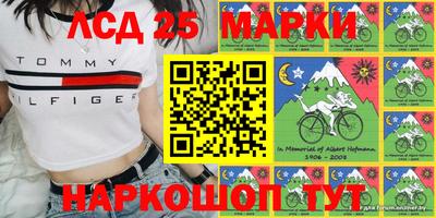 шишки Канаш