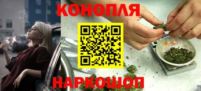 шишки Канаш