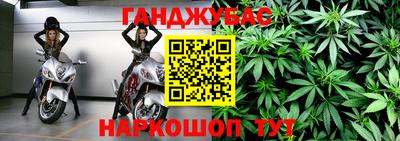 прущие крисы Кандалакша