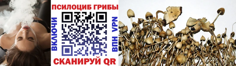 Галлюциногенные грибы Cubensis  где найти наркотики  Краснознаменск 