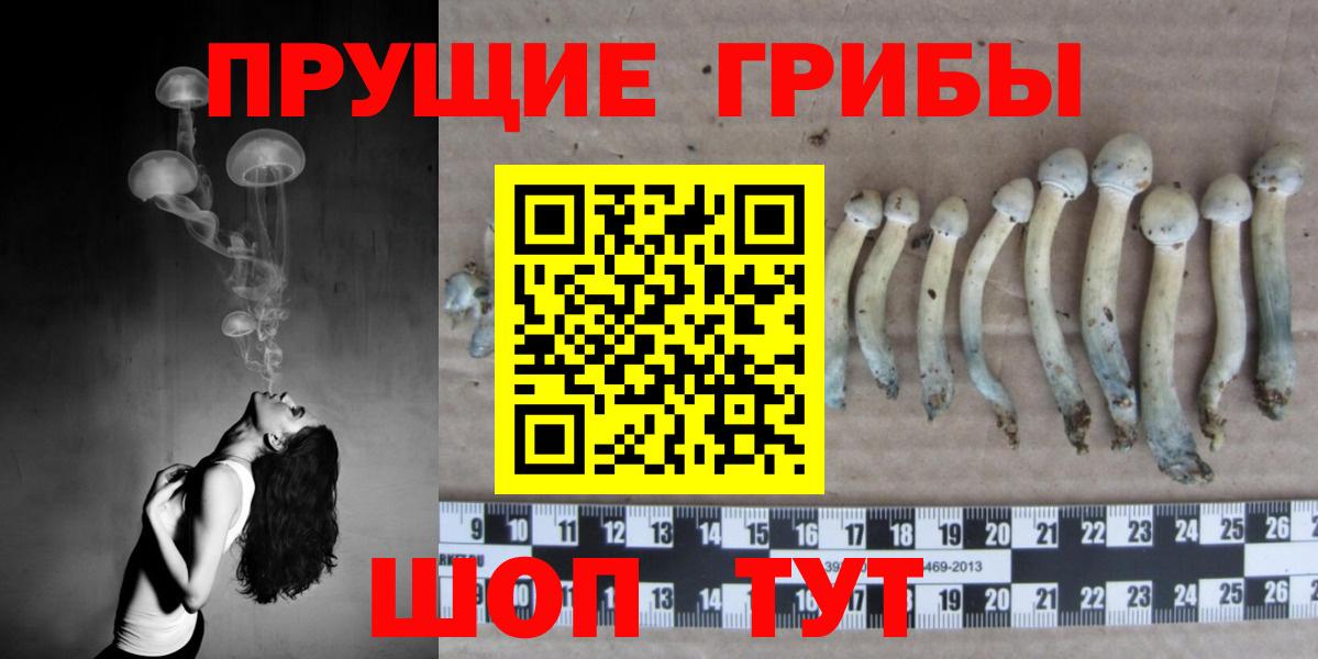 Краснознаменск  дарнет шоп  Вход с VPN  Галлюциногенные грибы Magic Shrooms 